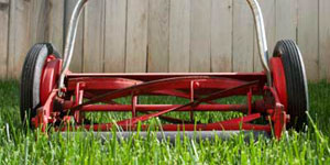 reel mower head width size