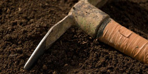 preparing the soil and planting