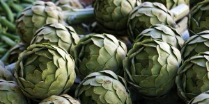 how to grow artichokes