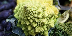 how to grow broccoli