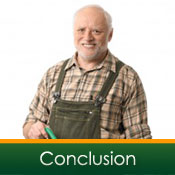 review conclusion