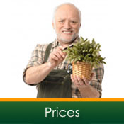 review prices