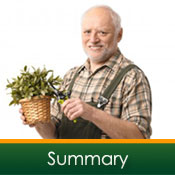 review summary